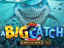 A Big Catch screenshot